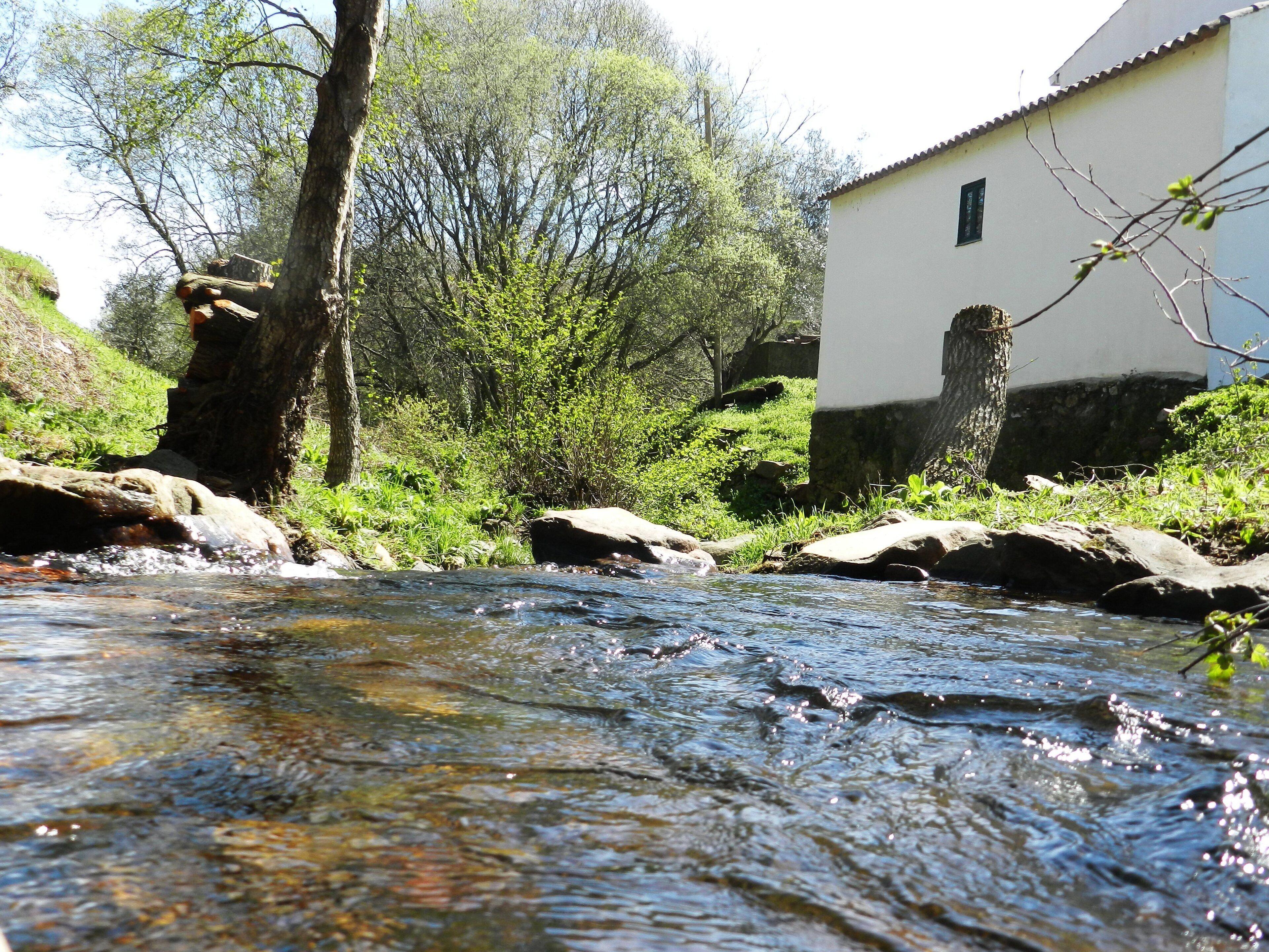 A clear stream flowing through a natural landscape with rocks and greenery, a white building with a tiled roof, and trees in the background.