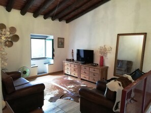 TV, fireplace, DVD player, books