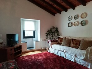 TV, fireplace, DVD player, books