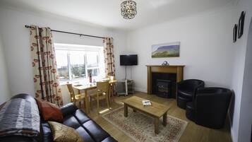 Televisie, een open haard en een dvd-speler