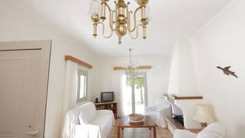 Télévision, cheminée, livres