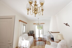 TV, fireplace, books