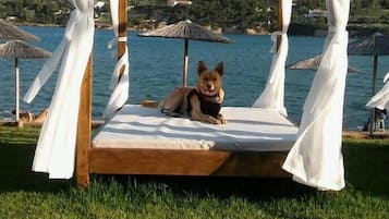 Overnattingsstedets uteområder