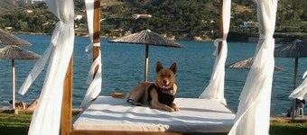 CHARMING MEDITERRANEAN COTTAGE NEAR THE BEACH AND CLOSE TO THE AIRPORT AND PORT