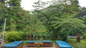 Uma área à beira da piscina com três espreguiçadeiras de madeira, uma pequena mesa com um vaso de planta e um muro de pedra.