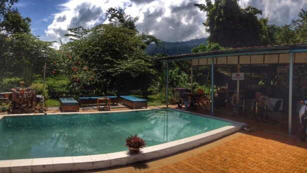 Uma piscina com espreguiçadeiras e área de estar coberta, rodeada por vegetação exuberante e árvores.