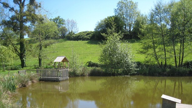 Ein Teich mit einer Holzsteganlage und einer kleinen Schutzhütte.