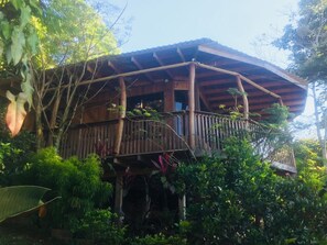 Exterior - treehouse (San José)