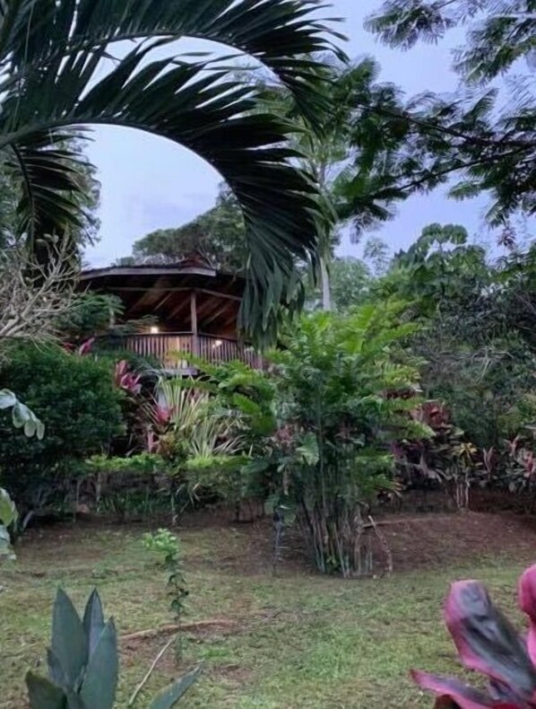 Property grounds - treehouse (San José)