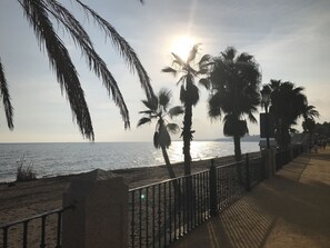 Ein Küstenweg mit Palmen, einem Metallgeländer und Blick aufs Meer.
