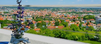 ์์ค๋ฐํ ์ํฐ ์ํํธ๋จผํธ