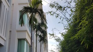 A pathway flanked by a tall palm tree and bamboo, leading to a building with a modern design and large windows. - Baan San Dao Hua Hin (Hua Hin)