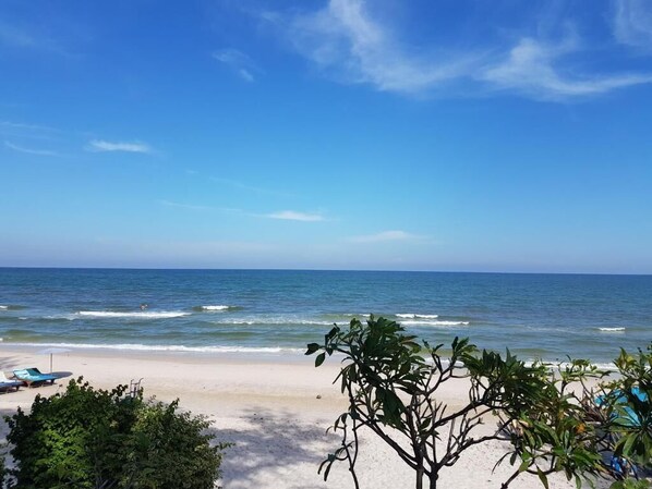 Une plage avec un ciel dégagé, des vagues sur l’océan et quelques arbres au premier plan.