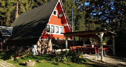 Finnhütte como un alojamiento de grupo directamente en el bosque con una gran zona de barbacoa, fogata