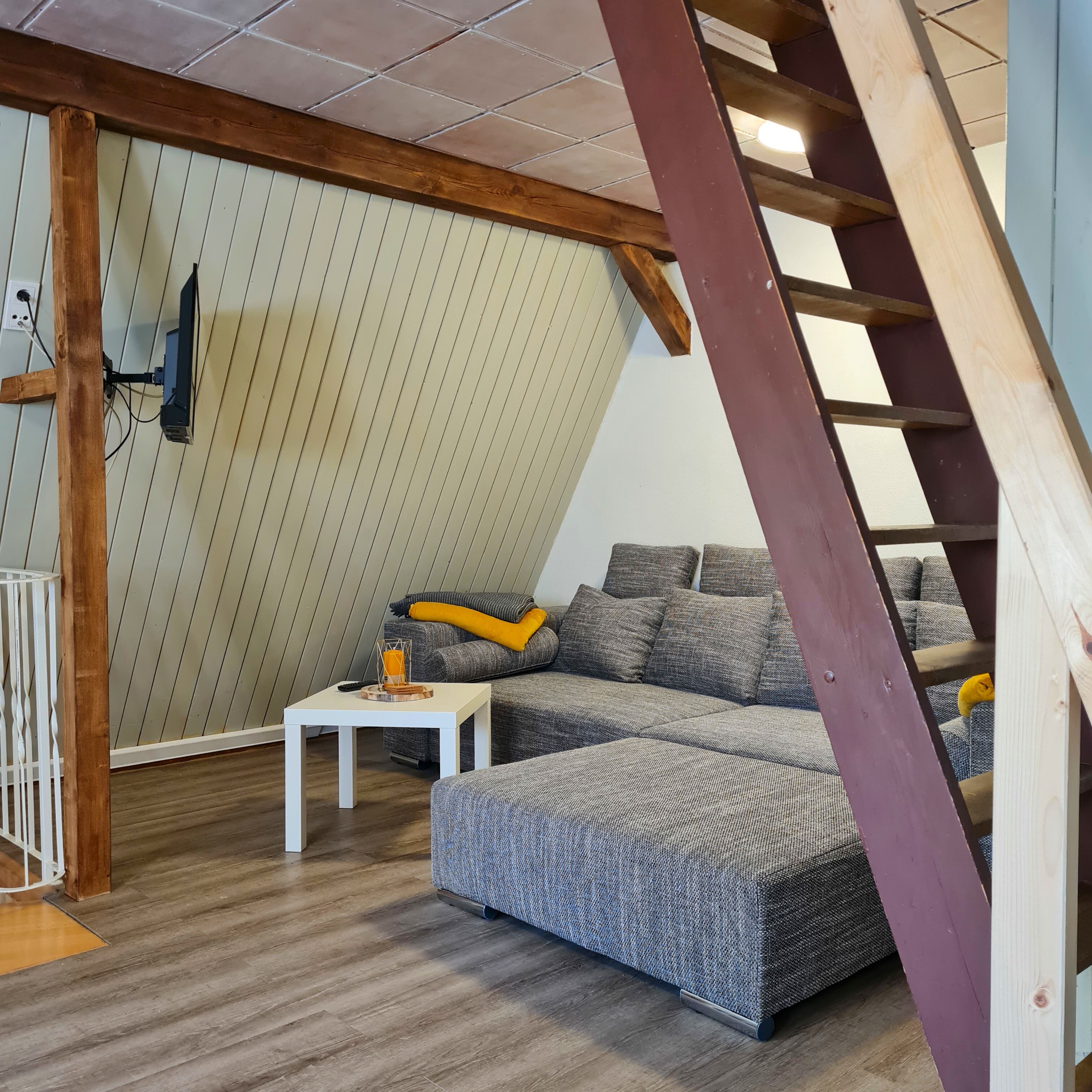 Tv, dvd-spelare och böcker