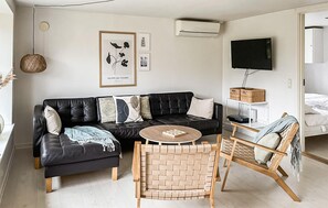 Télévision, cheminée, lecteur de DVD