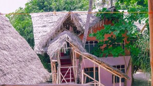 Unclassified image, 3 of 156, button - Sagando Bungalows (Michamvi)