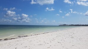 Plage à proximité, sable blanc, 2 bars de plage