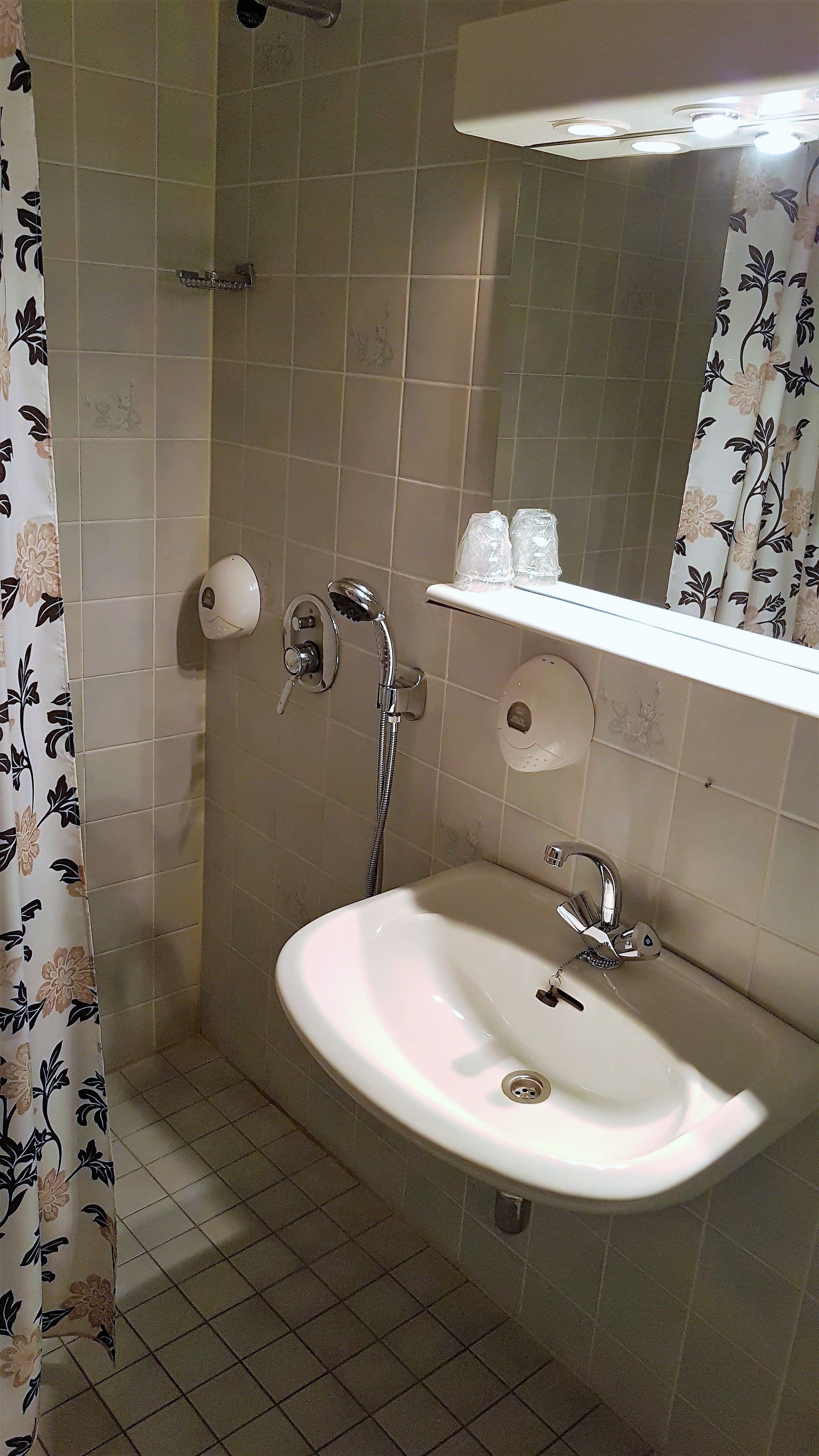 Ein Badezimmer mit weißem Waschbecken, einem Spiegel, einer Dusche und einer Toilette.