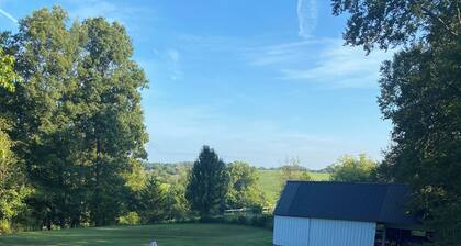 Pool / Grill, Dale Hollow Lake und der nahe gelegene Sunset Marina mit Blick auf die Berge