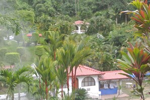 Property grounds - Riverside Tranquility, Mountain Views, Hotel Rio Perlas, Spa and  Hot Springs. (Cartago 95-7100)