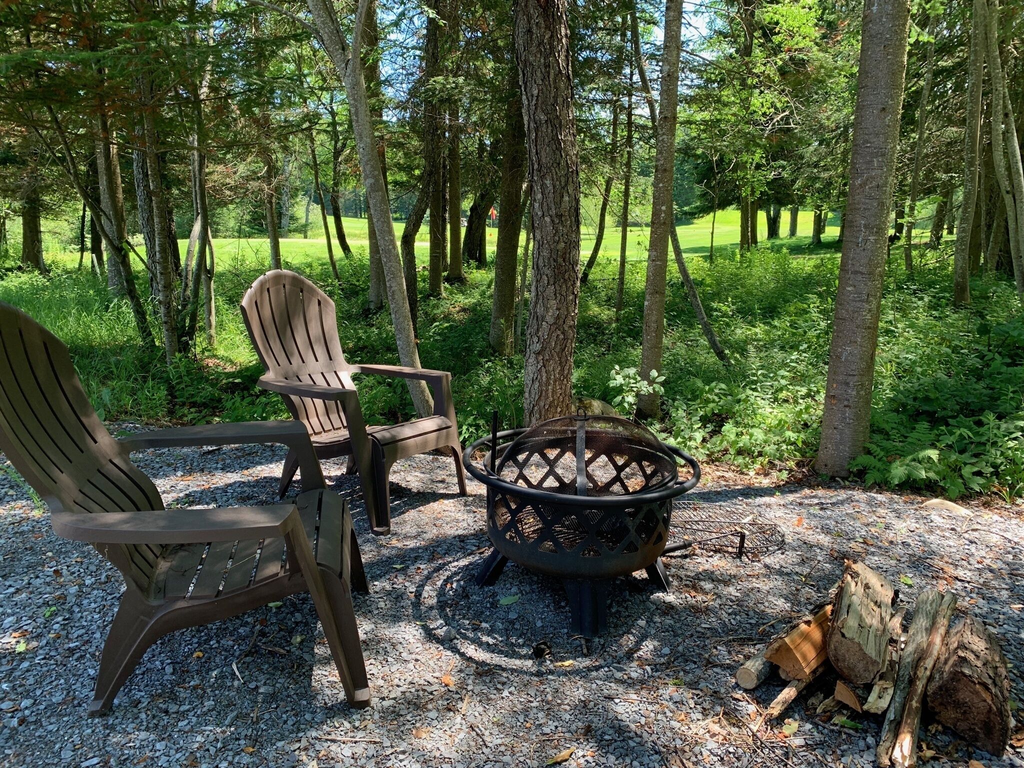 9 Best PetFriendly Cabin Rentals In Old New York Updated 2024