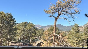 Vista de un árbol con escasa vegetación, rodeado de un bosque denso y montañas al fondo.