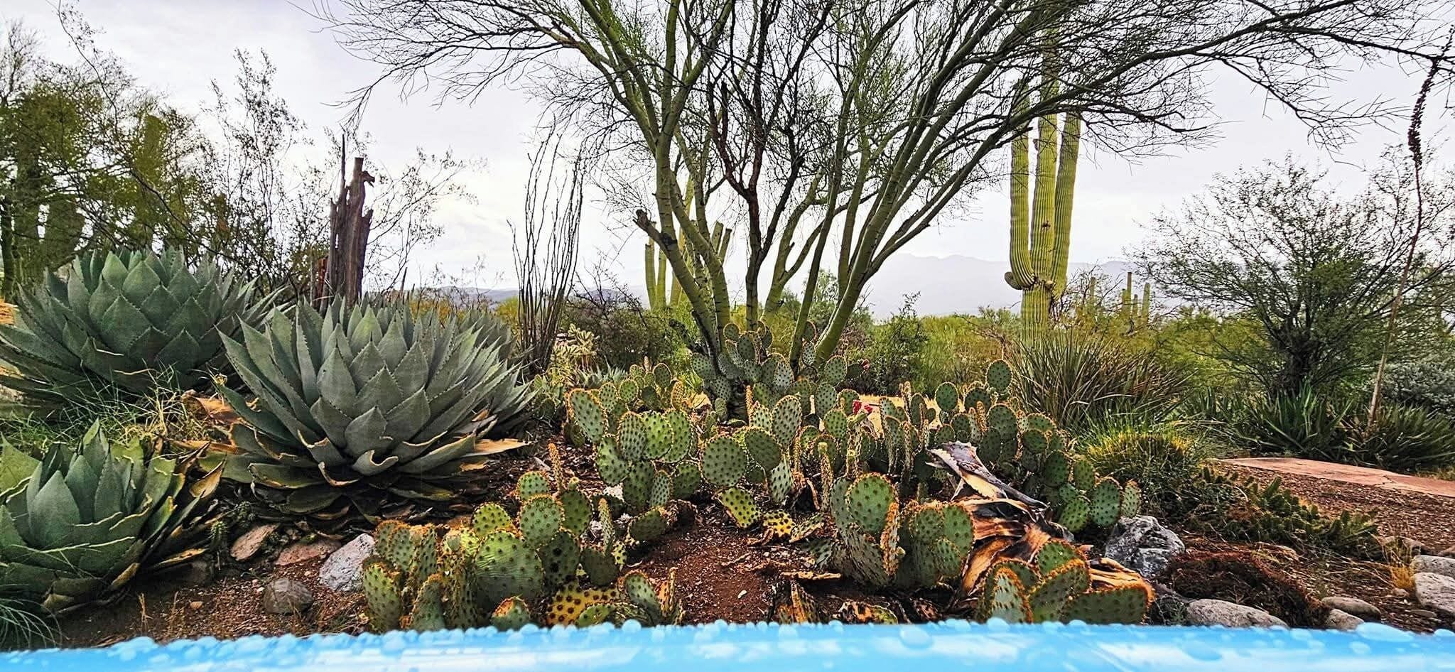 Jardines del alojamiento