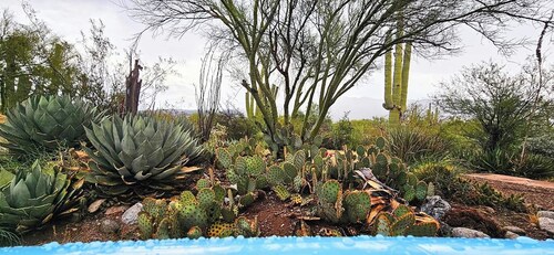 Knightly's Ranch Guesthouse