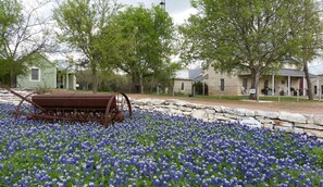 Overnatningsstedets område