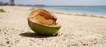 Best Value in PA! March 2026 dates just became available! 2 bedroom - 2 Bath