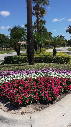 Jardines del alojamiento