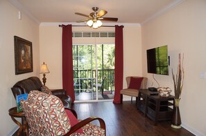 TV, DVD player, streaming services