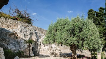 Jardín