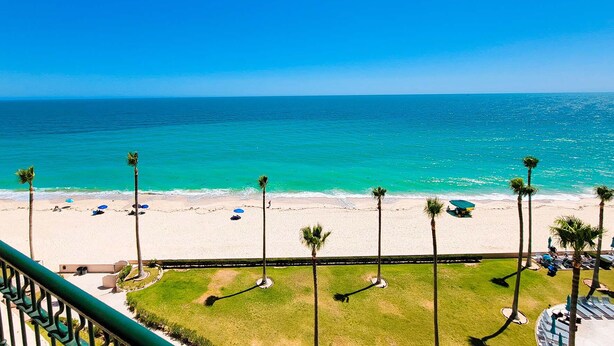 A beach view with palm trees, a sandy shore, and a clear blue ocean.