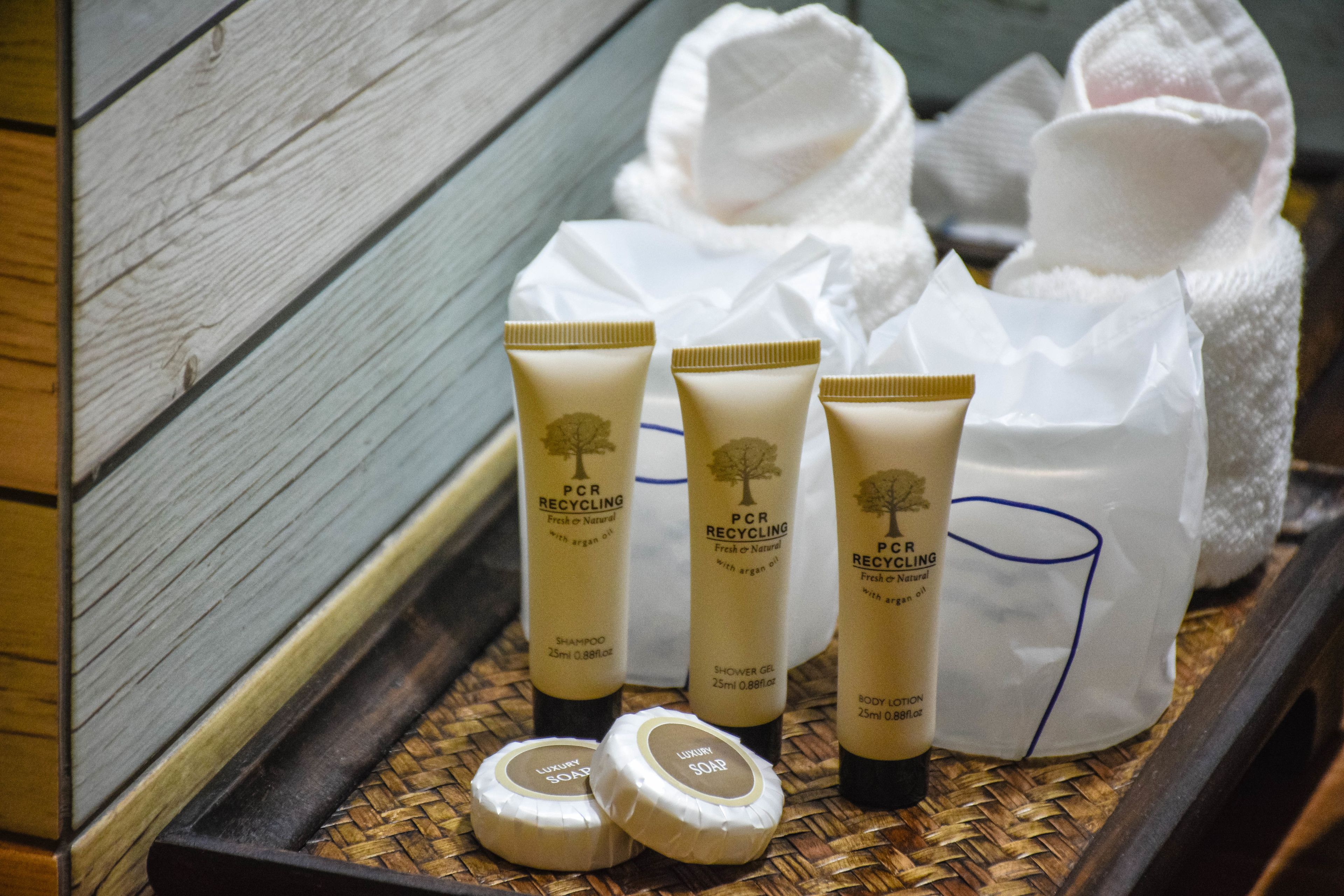 deluxe double room | bathroom amenities | shower, rainfall showerhead, free toiletries, hair dryer