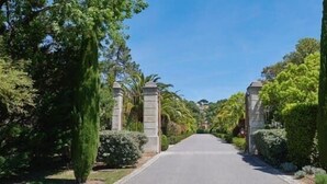 A tree-lined street with a clear sky. - Golf Resort & Country Club Saint-Tropez (Gassin)