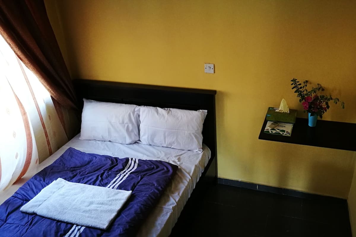 A neatly made bed with white and blue bedding, a small bedside table with a tissue box and a plant, and a TV mounted on the wall.