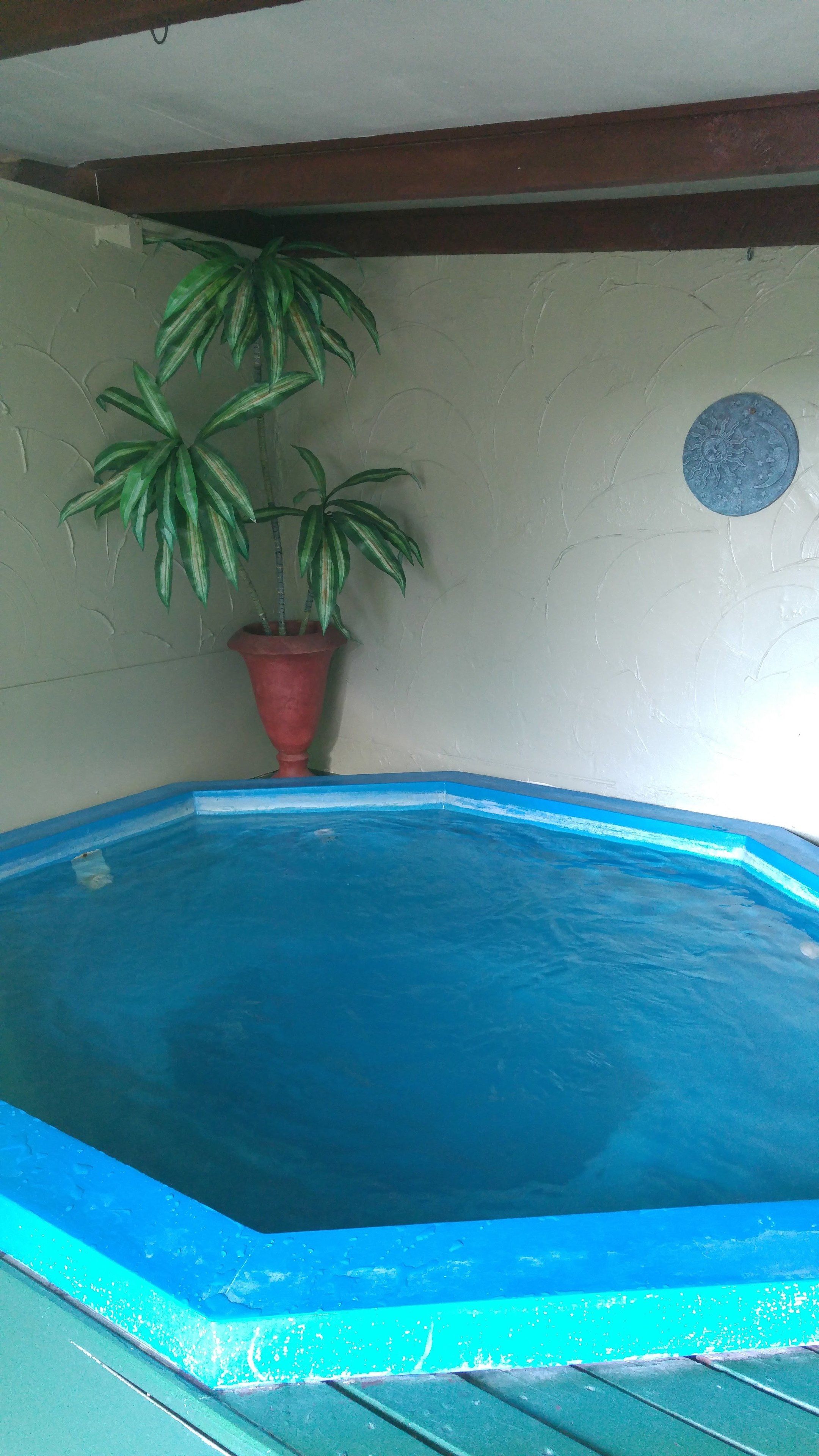 En indendørs swimmingpool med blå vægge, en rød plantekasse med grønne planter, og et dekorativt emblem med måne og sol på væggen.