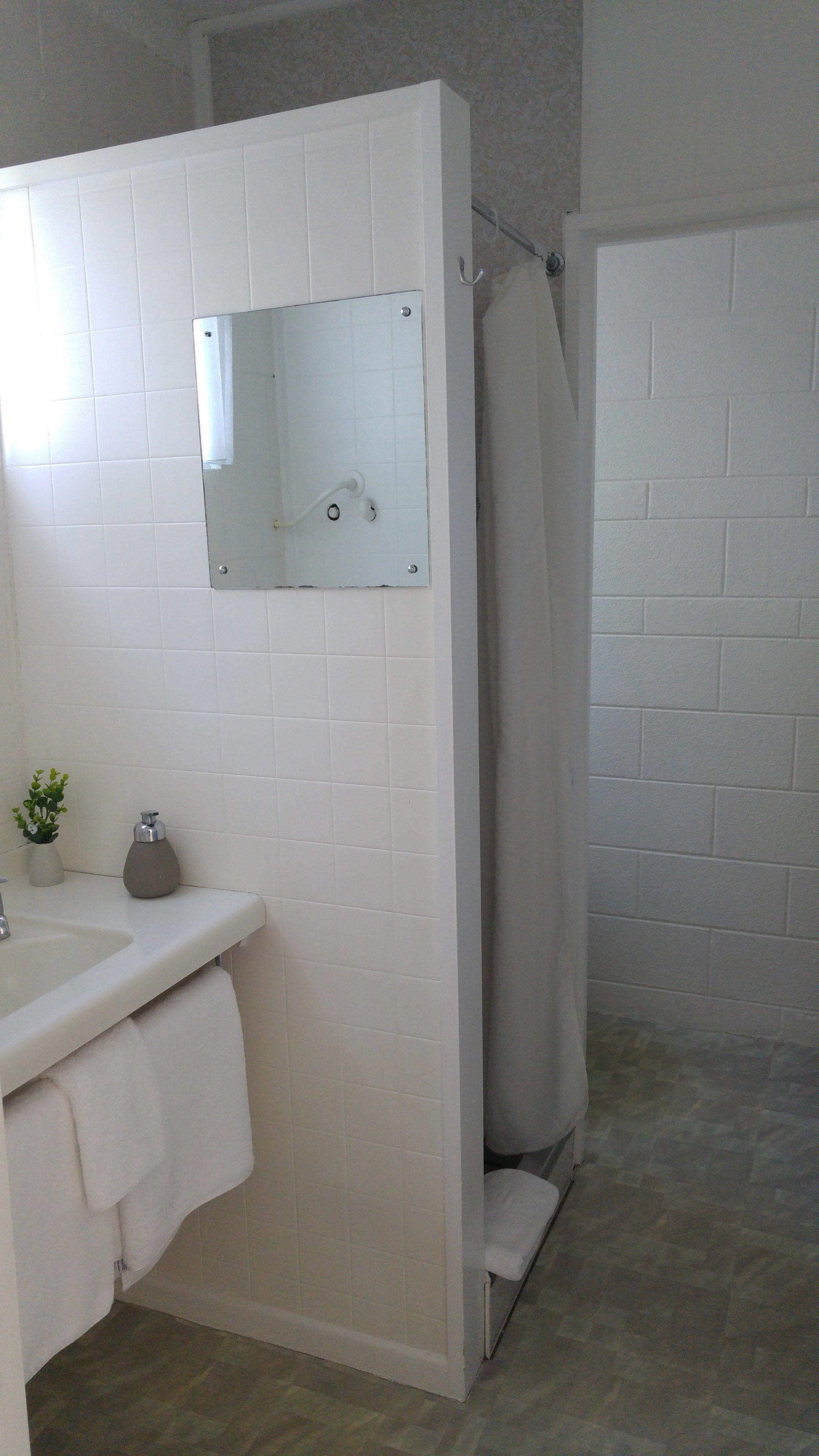 A bathroom with a white tiled wall, a sink with a mirror, a shower curtain, and a small plant on the counter.