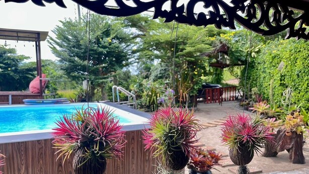 A poolside area with a wooden deck, a pool, and various potted plants including cacti. - Klong Muang Seaview (Krabi)