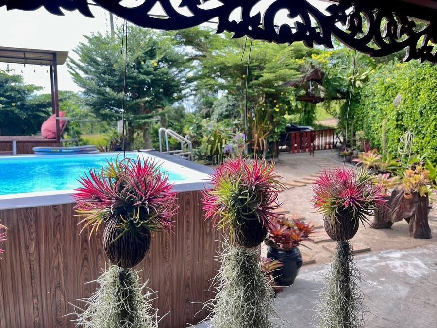 Vista para o jardim