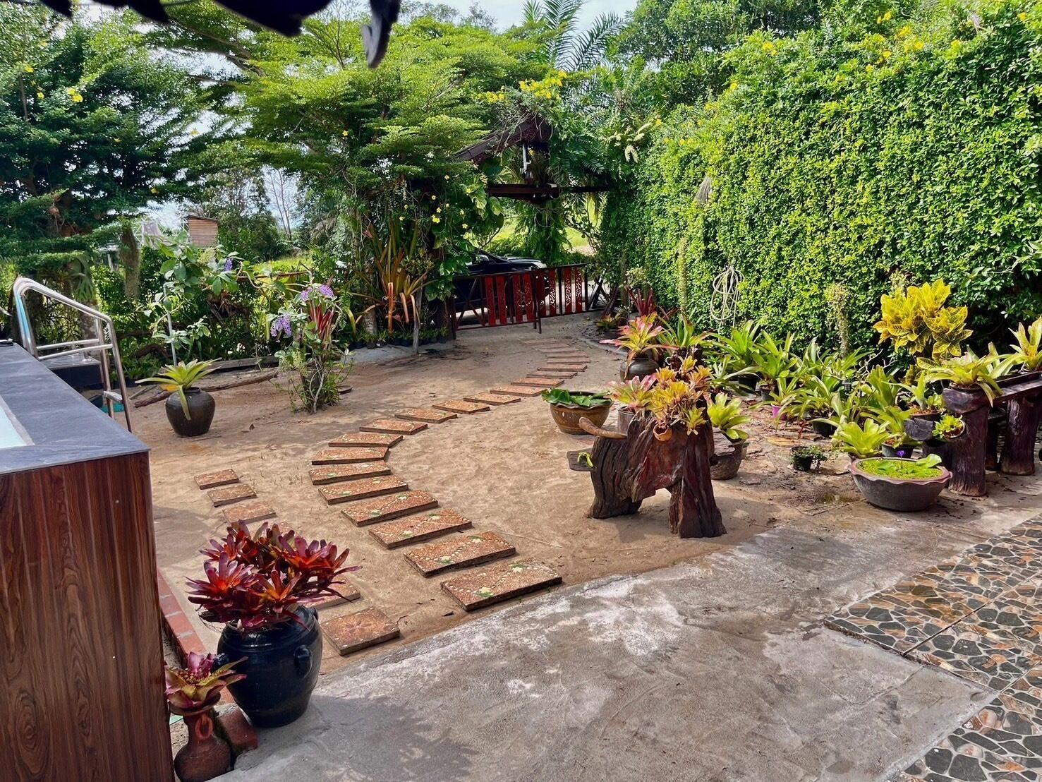 Un jardín con terraza de madera, plantas en macetas y un sendero de piedra.