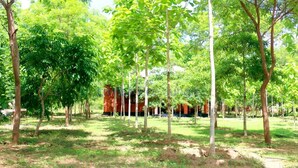A park with trees and a building in the background.