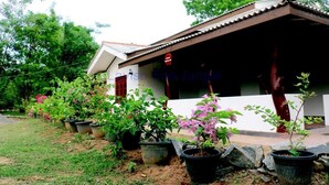 A building with a covered porch, surrounded by potted plants and trees.