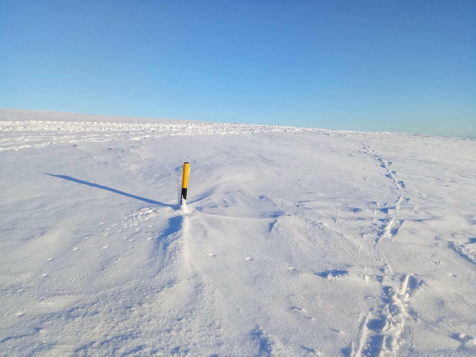 Un paisaje cubierto de nieve con un marcador amarillo en el centro.