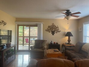 Smart TV, Netflix, streaming services