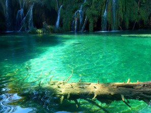 Pool - Plitvice Attico Viva room no.1 (Plitvicka jezera)