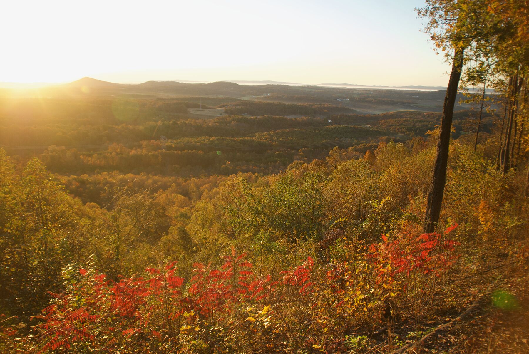 Valley view from the front porch.
