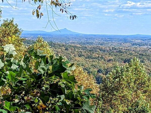 A mountainous landscape with dense forest and a clear sky.